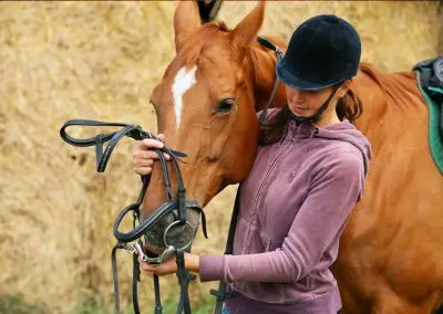 Horse Care